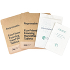 Sacchetti di carta kraft bianca biodegradabile su misura per noci di mango in polvere