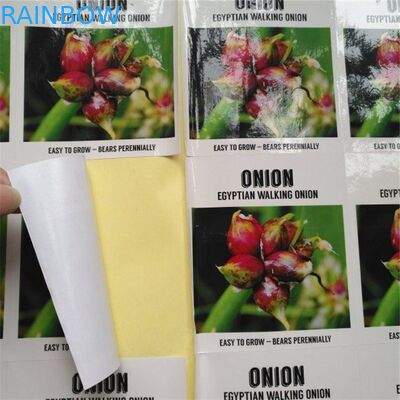 La manica trasparente degli strizzacervelli del PVC identifica il codice a barre olografico metallico per la scatola/bottiglia di pillola