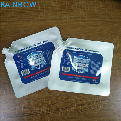 L'abitudine di stoccaggio dell'alimento ha stampato i pack riutilizzabili impermeabili del dispositivo di raffreddamento dei sacchetti di plastica con il becco/cappuccio