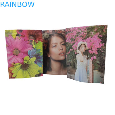 Sacchetti di imballaggio alimentare in plastica a chiusura a cerniera di plastica