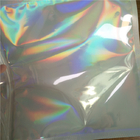 L'imballaggio della biancheria intima dei vestiti sta sulla chiusura lampo olografica di scintillio iridescente delle borse del sacchetto della chiusura lampo